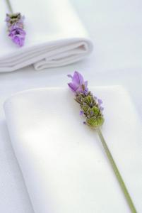 a purple flower sitting on top of a white napkin at Quinta da Lua in Tavira