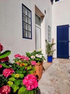 a bunch of flowers in front of a building at Le Studio d'en O, au coeur de la ville haute in Pornic