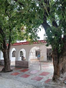 里奥阿查Apartamento Victoria B的前面有两棵树的建筑