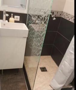 a shower with a glass door in a bathroom at Location Bassin Arcachon in Le Teich +10 photos