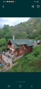 a large wooden house on a hill with trees at Barbu Ionel in Băile Herculane