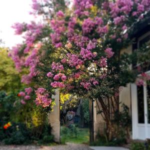 Un mazzo di fiori rosa davanti a una casa di Au Clos de Charny a Charny