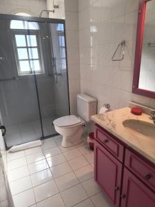 a bathroom with a toilet and a shower and a sink at Apartamento na Avenida Borges a 100 m da Rua Coberta in Gramado