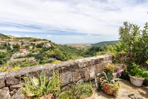 Příroda nedaleko apartmánu + 12 fotografií