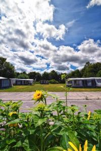 Gallery image of Camping de Betovering in Zeewolde