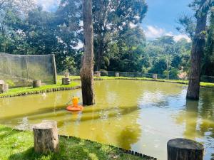 a pond with a fire hydrant in the middle at Pousada Nascente da Pedra in Pedra Bela +1 photo