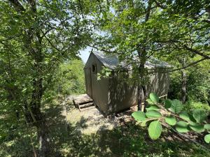Fotografie z fotogalerie ubytování Turgen Family Park v destinaci Taūtürgen