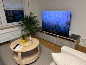 a living room with a flat screen tv on a table at Casa Cittadella Ferienwohnung Mimi in Fritzlar