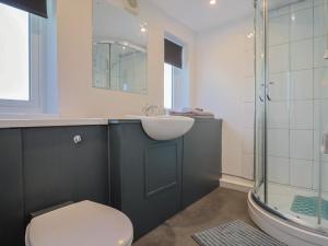 ein Badezimmer mit Waschbecken, Toilette und Dusche in der Unterkunft Brookfield Lodge in Burstock + 34 Fotos