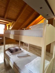 Symphony Hostel Shkoder客房内的一张或多张床位