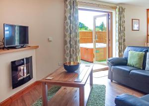 Televisyen dan/atau pusat hiburan di Heart Of Wales Lodges