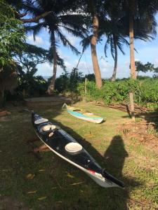 two kayaks sitting on the grass next to palm trees at Raizistencia Arte e Cultura in Maracanã