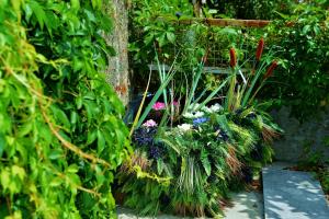 Apartment Lorena -prizemlje,EG,pianterreno في رييكا: مجموعة من النباتات في حديقة