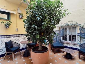Balkón nebo terasa v ubytování Hotel Agur