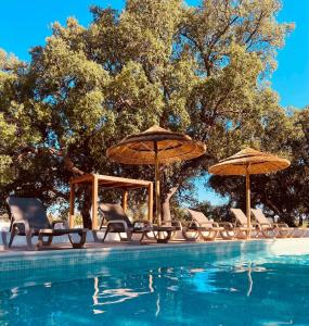 un groupe de chaises et de parasols à côté d'une piscine dans l'établissement Casa Portus - Turismo Rural, à Faro