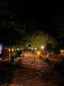 a dog standing on a stone path at night at Olympos Talara by Arzum in Kumluca