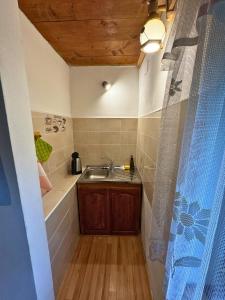a bathroom with a sink and a bath tub at Chalúpka pod orechom in Liptovský Trnovec