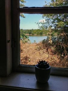 a window with a potted plant sitting on a window sill at Cozy Cabin near Balka Beach with outdoor toilet and kitchen in Neksø