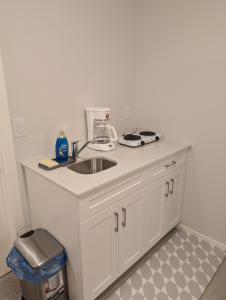 kuchnia ze zlewem i ekspresem do kawy na ladzie w obiekcie Cozy Suite - Peaceful & Modern w mieście Winnipeg