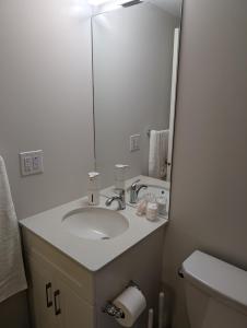 łazienka z umywalką i lustrem w obiekcie Cozy Suite - Peaceful & Modern w mieście Winnipeg