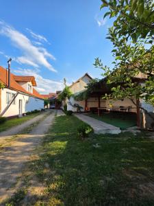 an empty street in a village with buildings at Casa Mari in Cârțișoara