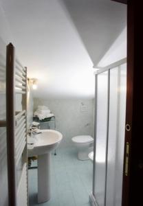 a bathroom with a sink and a toilet at Agriturismo Fonte Lupini in Pescocostanzo