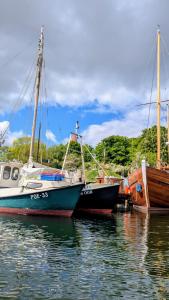 Příroda nedaleko apartmánu