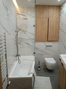 Un baño con ducha, inodoro y lavabo. en Apartament Lena Stare Miasto, en Cracovia 14 fotos más