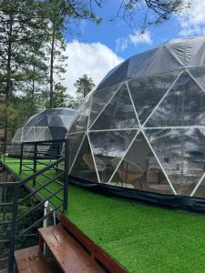 Zahrada ubytování ThauRana Glamping