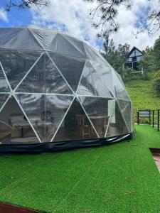 Zahrada ubytování ThauRana Glamping
