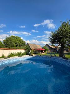 a large swimming pool with blue water in a yard at Casa Mari in Cârțișoara