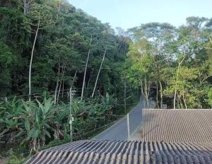 a road in the middle of a jungle with trees at Casa Lumiar DudaBela in Nova Friburgo +6 photos