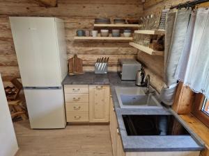 a kitchen with a refrigerator and a sink at Zrub pri Hrone in Brezno
