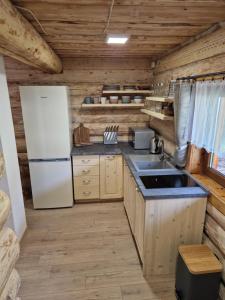 a kitchen with a refrigerator and a sink at Zrub pri Hrone in Brezno +61 photos