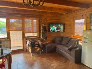 a living room with a couch and a tv at Visockyne in Ariogala