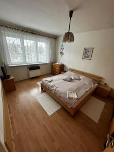 Ένα ή περισσότερα κρεβάτια σε δωμάτιο στο Apartmán Maňuš