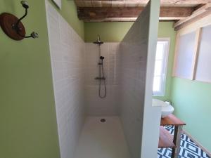 a bathroom with a shower and a sink at Gîte de l'Aiguille in Civray-de-Touraine +3 photos