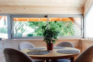 a wooden table with chairs and a potted plant at Le Clos des Pies in Le Pin