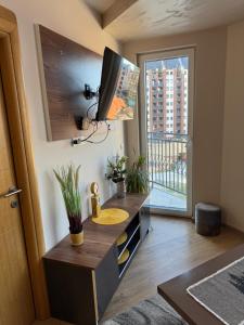 TV a/nebo společenská místnost v ubytování Black Bear Apartment + 13 fotografií