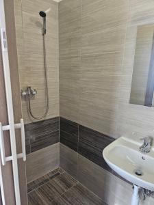 a bathroom with a sink and a shower at Apartmány Lahofer ZNOJMO in Znojmo
