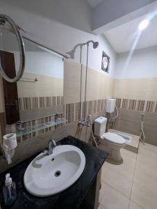 a bathroom with a sink and a toilet at Galiyat Hilton apartment and hotel in Ayubia