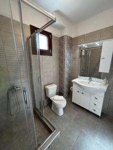 a bathroom with a toilet and a sink and a shower at Konitsa Escape Apartment in Konitsa