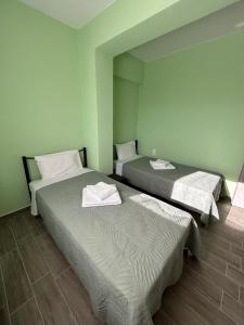 two beds in a room with green walls at Konitsa Escape Apartment in Konitsa