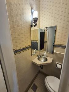a bathroom with a toilet and a sink and a mirror at Tu refugio en Bariloche in San Carlos de Bariloche +28 photos