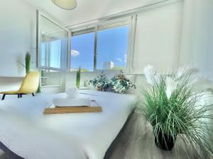 蒙桑巴勒尔Maison partagée 7 chambres à Mons en Baroeul avec jardin的相册照片