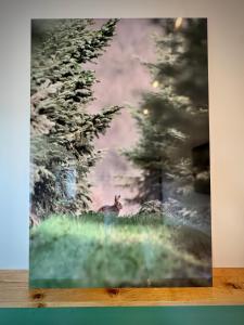 Fotografija u galeriji objekta Gîte La Chouette u gradu Érezée