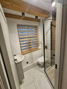 a bathroom with a toilet and a window at Zvaigžņu apartment in Riga +10 photos
