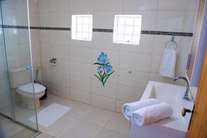 a bathroom with a shower and a toilet and a sink at Hotel Pousada Caranda Eco Ville in Bonito