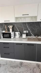 Køkken eller tekøkken på Costinești Apartament