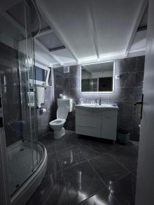 a bathroom with a toilet and a sink and a shower at Holiday Home Adricon in Grižane +46 photos